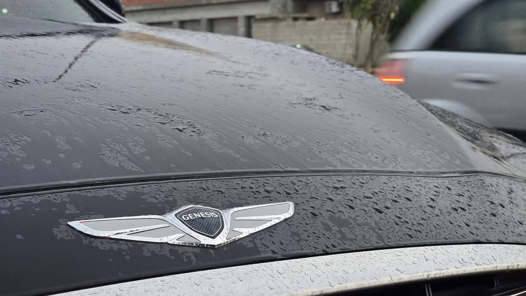 brand_logo_9e591994-65e0-4374-aa9b-9a01bc3bdaad